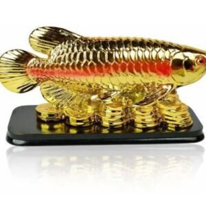 Feng Shui Fish with Coins for Career Luck and Education Luck