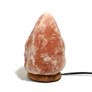 Himalayan Salt Lamp - 9-10 in